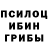 Псилоцибиновые грибы Psilocybe Grant Music