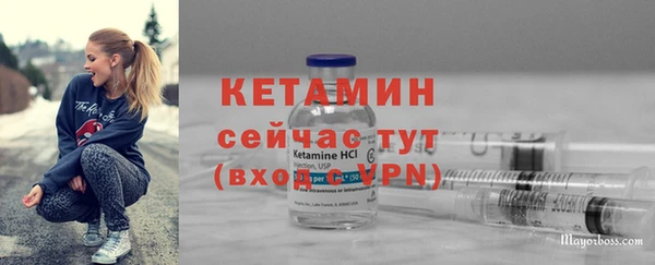 прущие грибы Ахтубинск