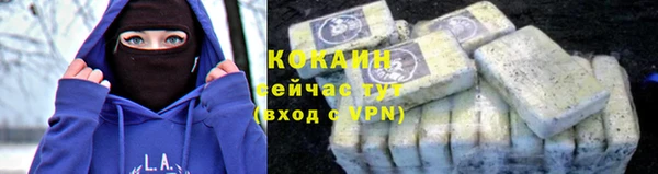прущие грибы Ахтубинск
