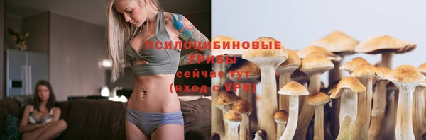 мяу мяу кристалл Аша