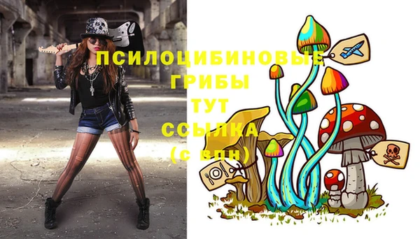 крисы Медногорск