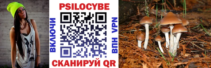 Галлюциногенные грибы мухоморы  Кочубеевское 