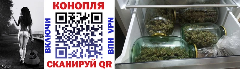 Каннабис планчик  гидра ССЫЛКА  Кочубеевское 